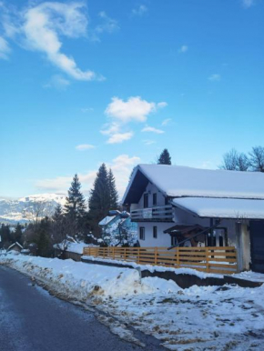 Casa Pietrosu Rodnei Borşa